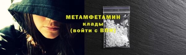 хмурый Тайга