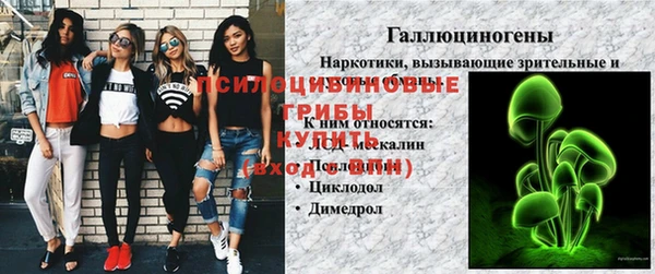 тгк Богданович
