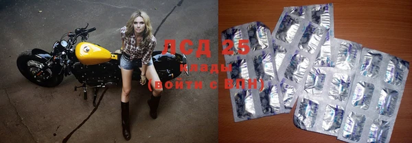 тгк Богданович