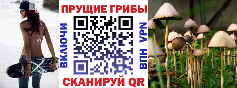 Псилоцибиновые грибы MAGIC MUSHROOMS Бузулук