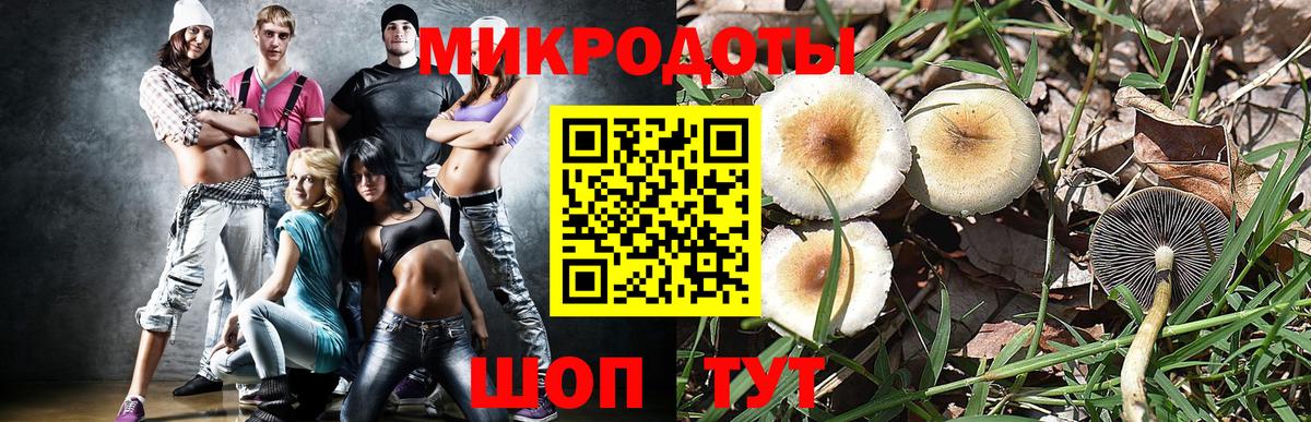 Галлюциногенные грибы прущие грибы  Вход с VPN  Галлюциногенные грибы ЛСД  Бузулук 